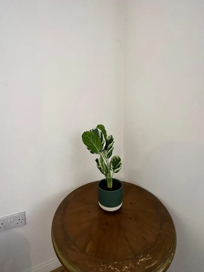 New Build 2 Bedroom With 2 Bath In London Apartment